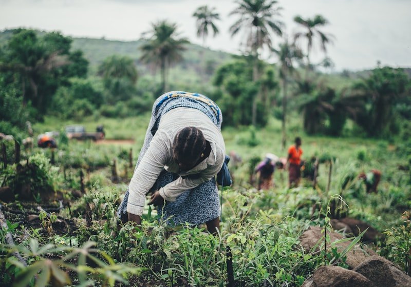 Visite d'exploitation agricole