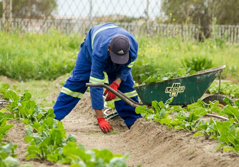 Reportage agricole